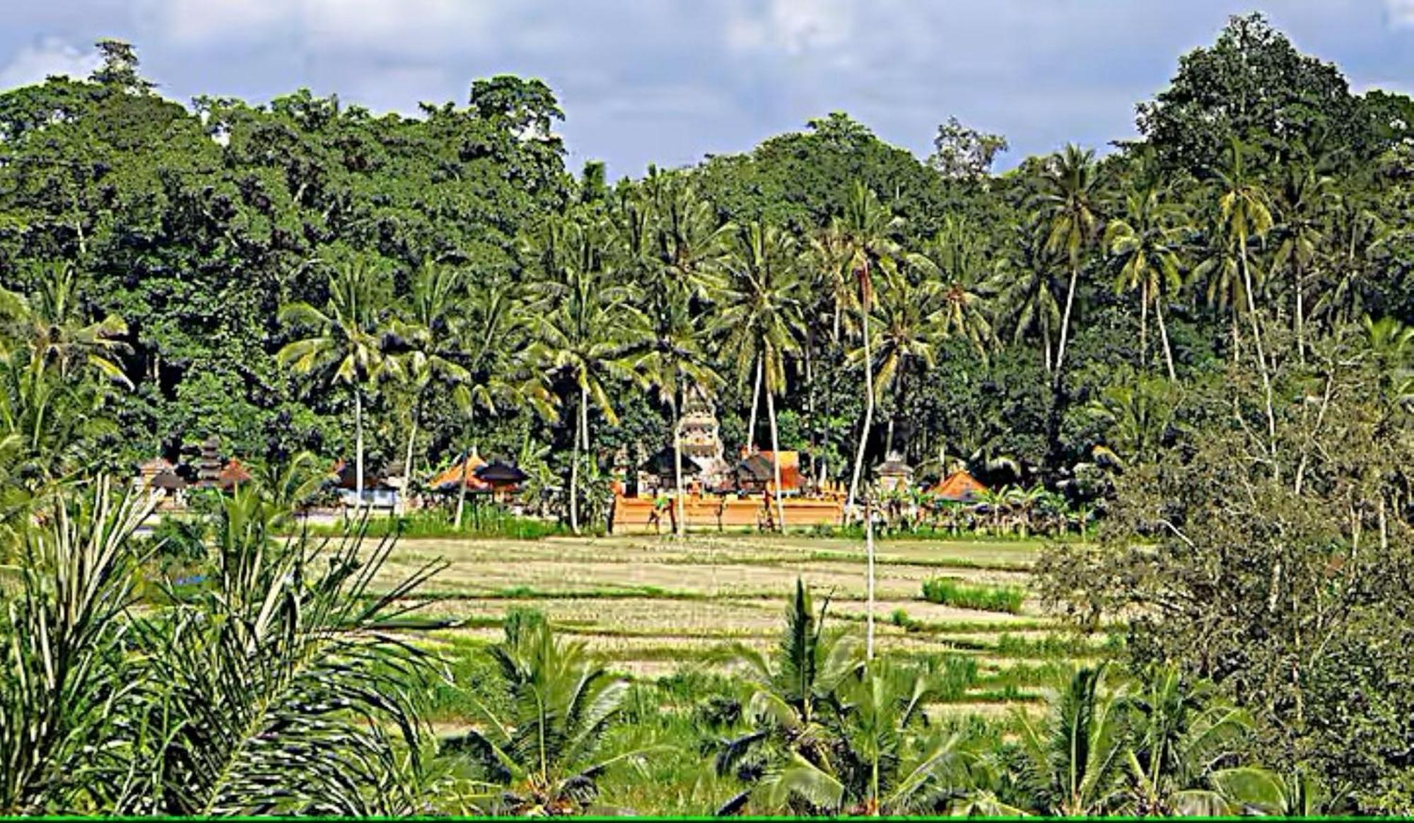 Villa Ria Sayan Ubud Exterior foto